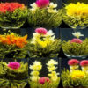 Blooming Flower Tea Balls Malaysia 龙珠工艺花茶绣球